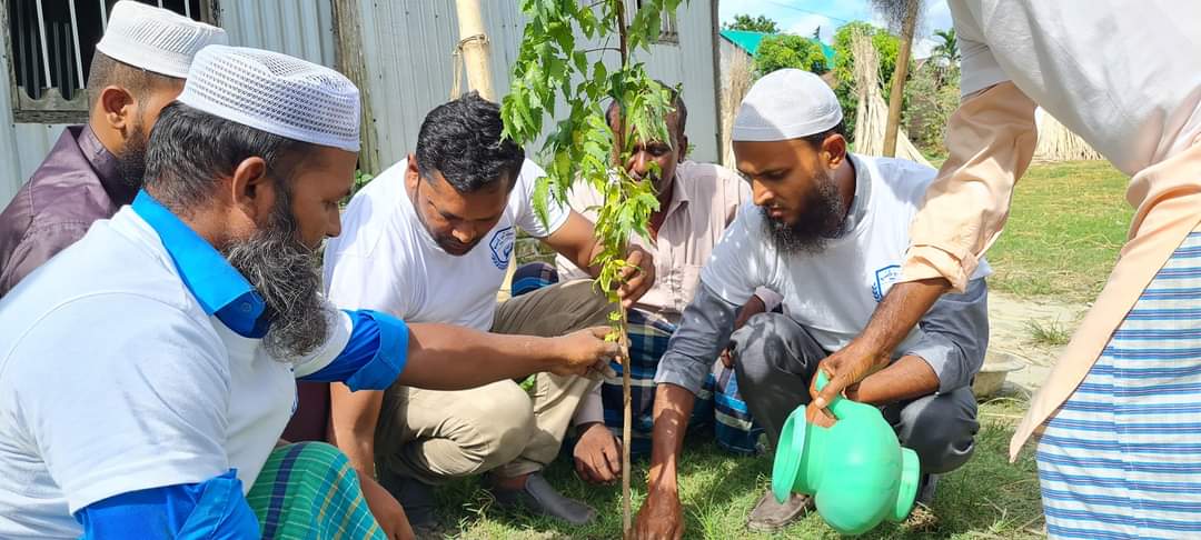বৃক্ষরোপণ কর্মসূচি