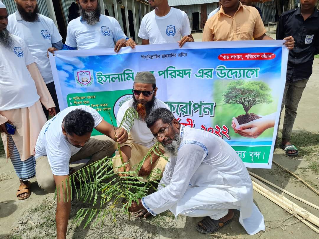 বৃক্ষরোপণ কর্মসূচি